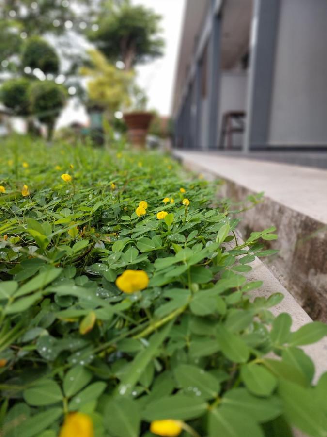 Changlun Chalet Ngoại thất bức ảnh